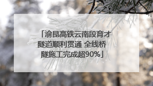 渝昆高铁云南段育才隧道顺利贯通 全线桥隧施工完成超90%
